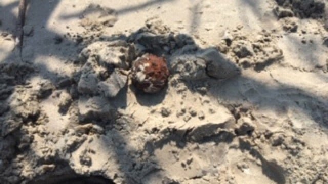 Hurricane Dorian unearths Civil War cannonballs on South Carolina beach