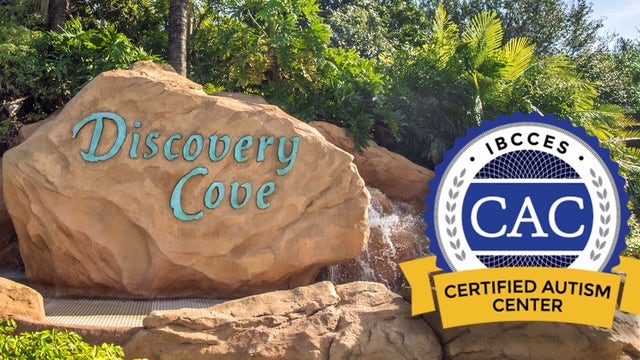 Discovery Cove becomes first animal interaction park to be a certified autism center