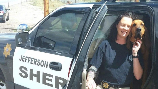 Colorado sheriff's office bloodhound helps find missing 12-year-old girl in Wyoming