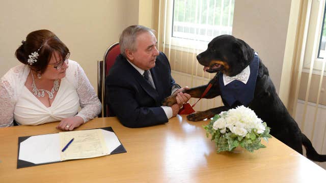 Groom has his pet dog as his best man