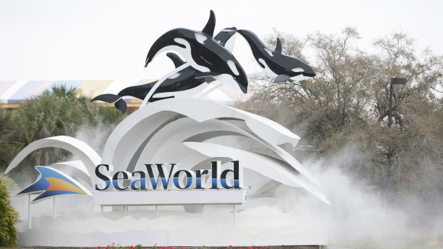 After furloughing 95% of workers, SeaWorld seeks federal loan