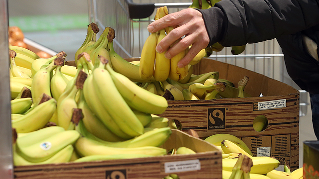 Eating banana skins may help with weight loss, expert suggests