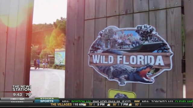 Wild Florida offers free admission during gator week