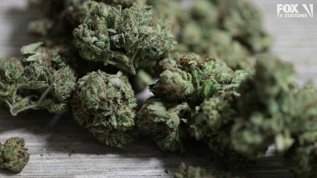 Attorney General Ashley Moody tries to scuttle marijuana amendment