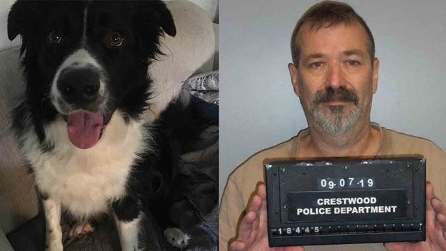 Missouri man charged with repeatedly stabbing neighbor's dog who ran onto property