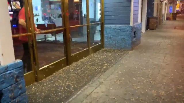 Thousands of grasshoppers invade Las Vegas Strip