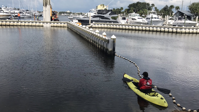 FWC is confident that the trapped manatees are free