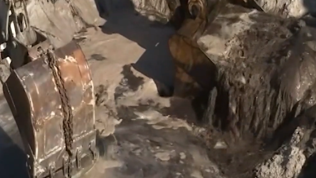 Raw sewage causes Indian River Lagoon to be brown, lawmaker fighting for change