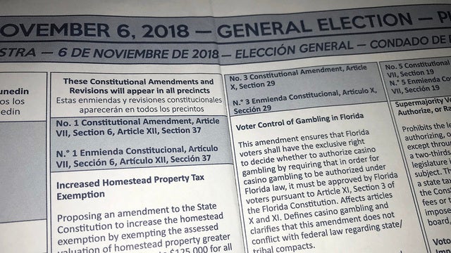 Voters line up behind constitutional amendments