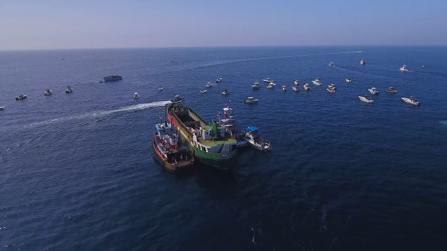 180-foot cargo ship intentionally sunk to create artificial reef