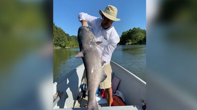 Man catches 53-pound catfish in Potomac River