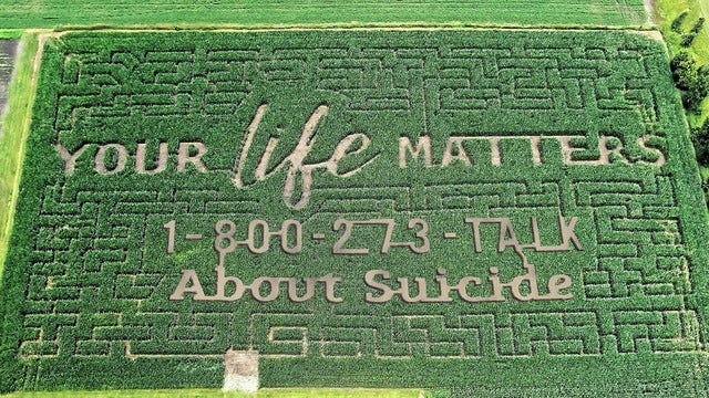 'Your life matters': Farm's corn maze raises awareness for suicide prevention