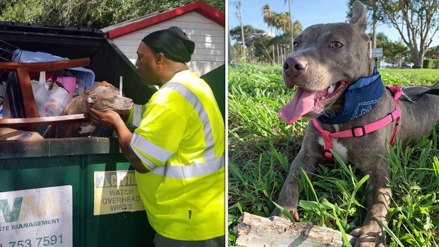 Daisy, the ‘Dumpster Dog,' has a new home