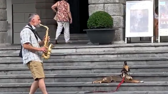 Dog adorably 'sings' with saxophone player in viral video