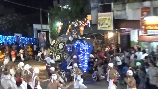 Elephant runs amok, injures 18 in Sri Lanka Buddhist pageant