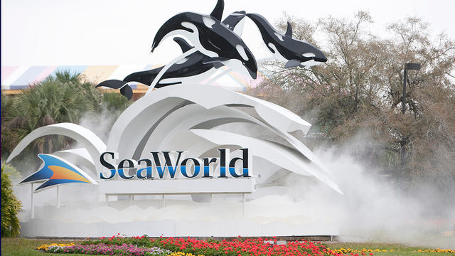 SeaWorld Orlando is officially a certified autism center
