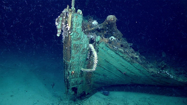 Mysterious 19th-century shipwreck discovered by accident in Gulf of Mexico