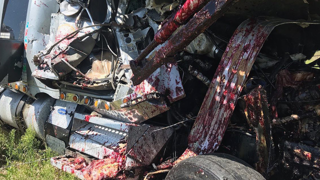 'Gruesome' photos from crash turn out to be jelly