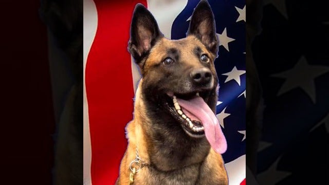 Florida deputies mourning the unexpected death of K-9 Dallas
