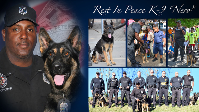 St. Petersburg police K-9 dies of brain tumor after years of service