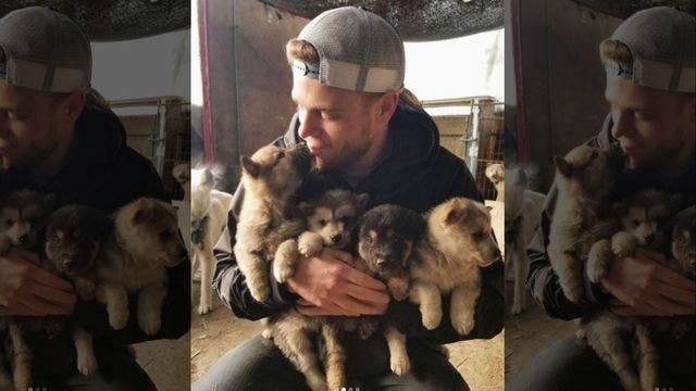 US Olympian Gus Kenworthy rescues 90 dogs from Korean dog meat farm