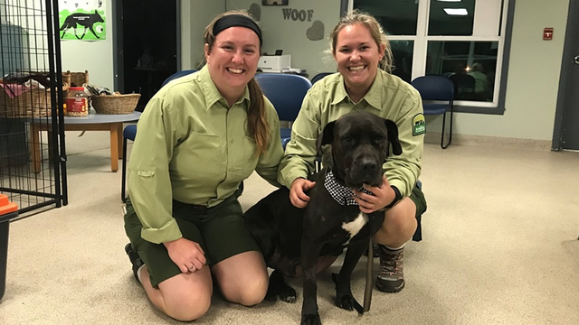Dog shot in the face in Lake County finds 'furever' family
