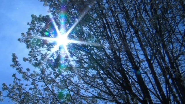 Study: More time outdoors can make you healthier