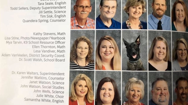 Arkansas K9 gets photo taken for school yearbook