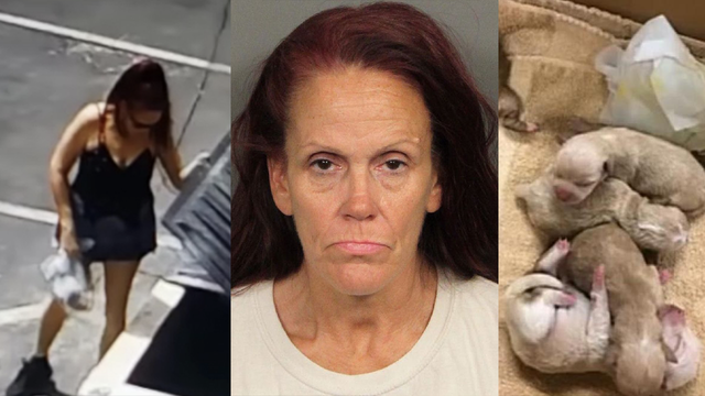Woman accused of dumping 7 puppies in trash had 38 dogs in her house, police say