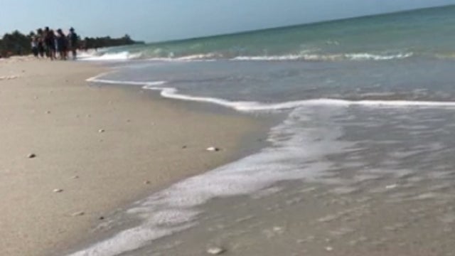 Red tide bloom makes its way to southwest Florida bays
