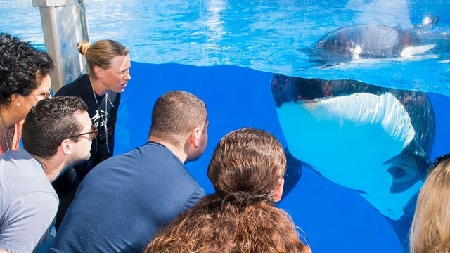 SeaWorld Orlando offers free admission for Florida children five and younger