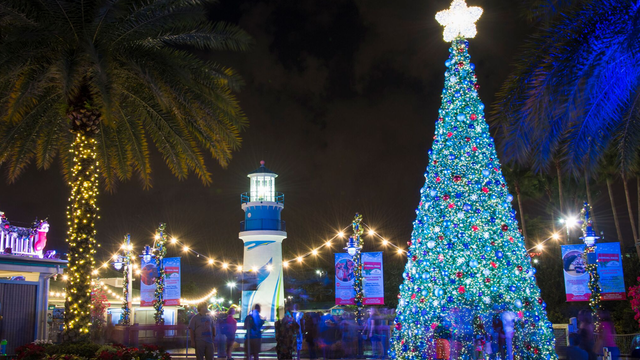 Seaworld Christmas Celebration to return with more lights than ever before