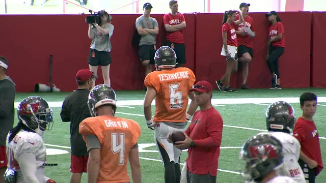Like father like son: Bucs sign Testaverde Jr.