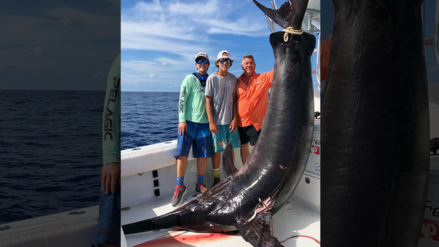 Fishing boat captain reels in 757-pound swordfish in the Florida Keys