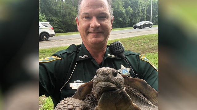 ‘Let him go with a warning': Officer snaps selfie with turtle ‘detained' for crossing road too slow