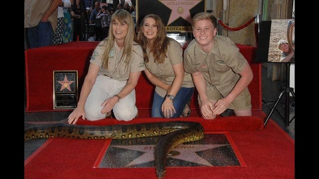 Hollywood Walk of Fame star honors the late Steve Irwin