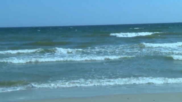 Man bitten on foot by shark in New Smyrna Beach