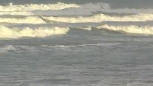 Woman bitten on foot by shark in New Smyrna Beach