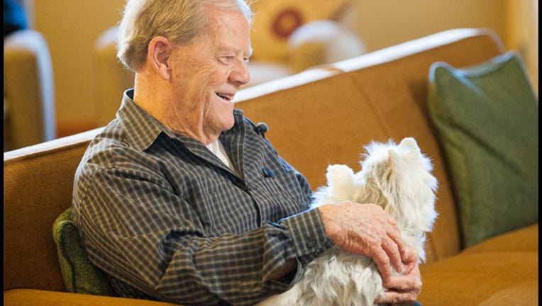 b691c42d-Companion pets