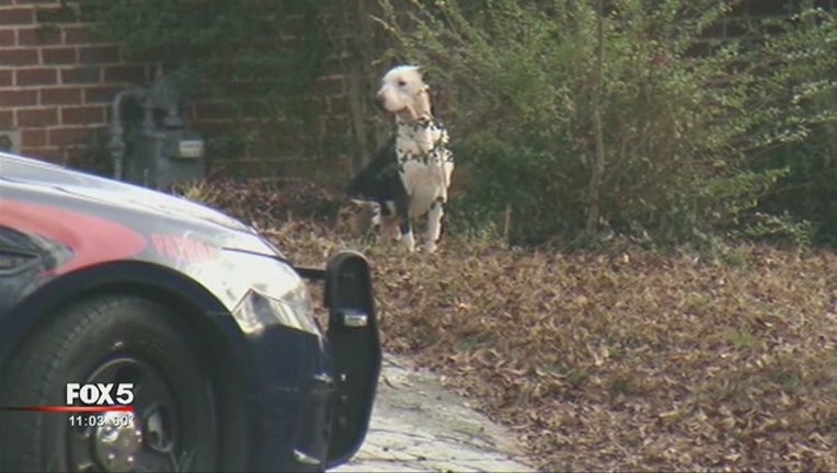 f63f6eef-Atlanta_city_council_seeks_laws_on_dogs_0_20170119041949-404959