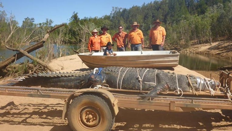 88bf90bf-Australian crocodile COURTESY Northern Territory Parks and Wildlife_1531274606337.png.jpg