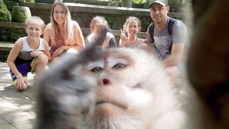 6e4304d9-CATERS_monkey finger_061719_1560766665274.jpg.jpg