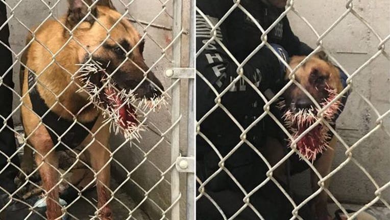 Coos County Sheriff's Office_1556031587565.jpg-401720.jpg