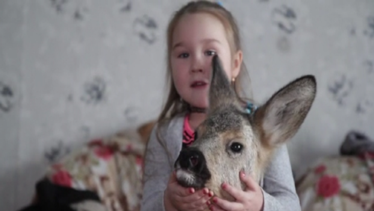f56cf80e-Deer-in-russian-house.PNG