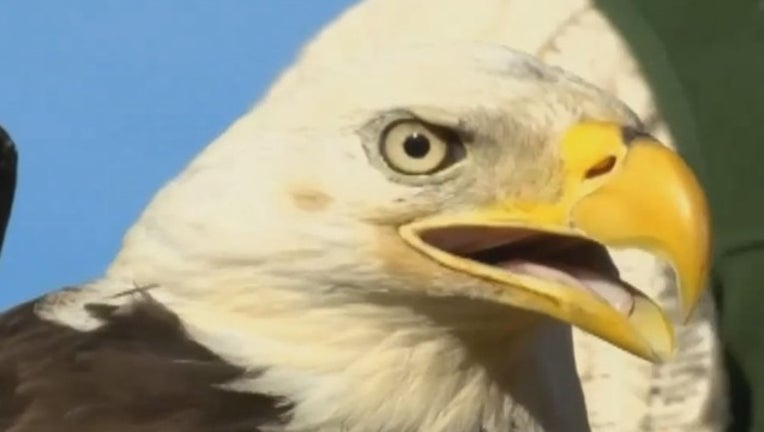 1da060b3-EaglePIC_1482519508213.JPG
