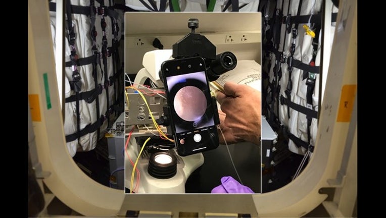 b04acf0c-FLORIDA HOSPITAL_muscle tissue in space(1)_111218_1542042551648.png.jpg