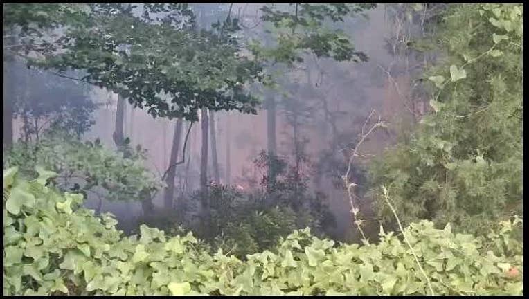 eff128b0-Florida_Forest_Service_battling_450_acre_0_20190524171821