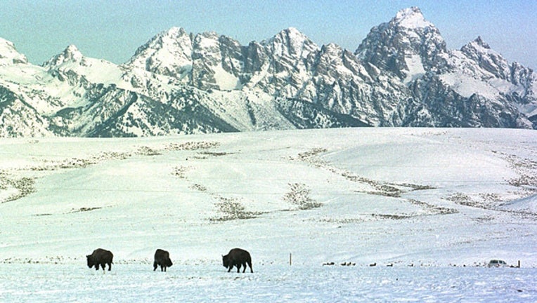 b2fbdf9f-GETTY Grand Teton National Park_1523563692935.jpg-407693.jpg