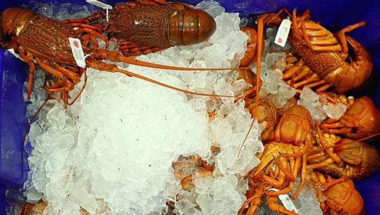 9f5ef8f7-GETTY lobster_1553372379038.png.jpg