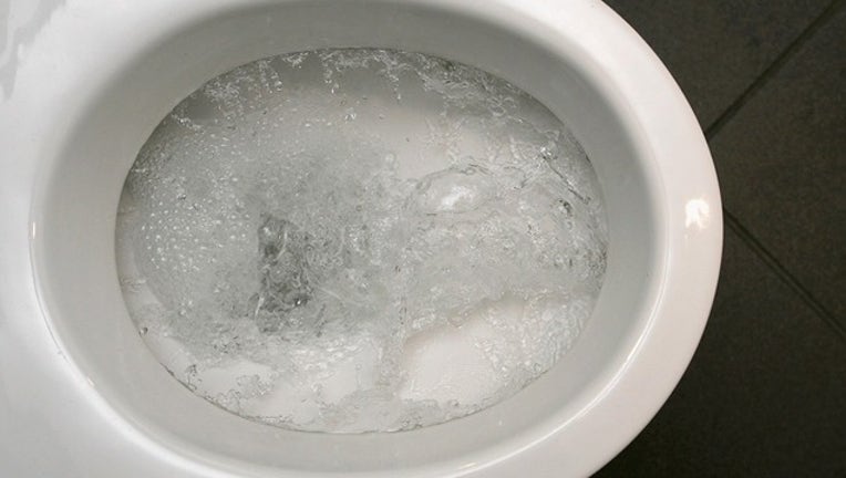 340bb5eb-GETTY toilet_1553102427778.png.jpg